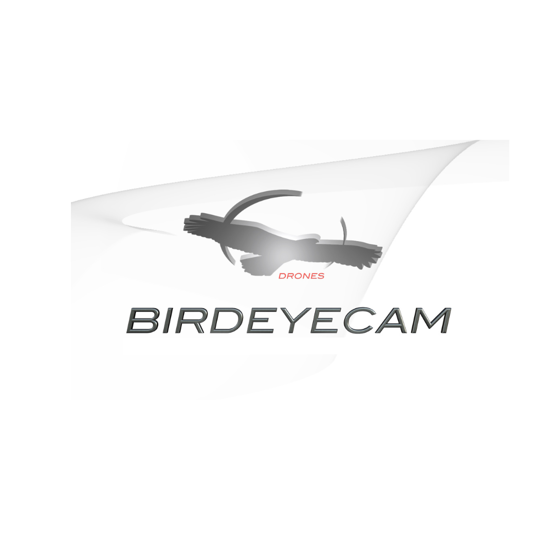 Bird Eye Cam