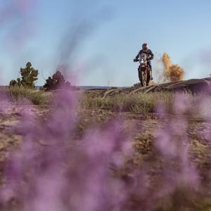 250102_BuitenhuisTim_RallyTracks_AER_STAGE3_PRDR4119-min.jpg