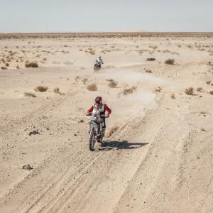 AlessioCorradini--7-min.jpg