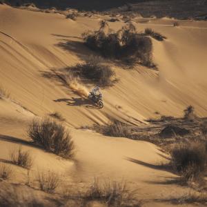 AlessioCorradini-9720-min.jpg
