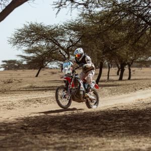 250111_BuitenhuisTim_RallyTracks_AER_STAGE11_PRDR2325-min.jpg