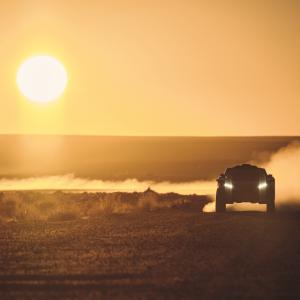 ALEXIS BLONDEL_DSF0424.jpg