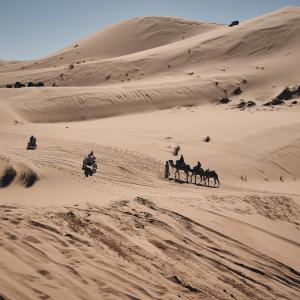 ALEXIS BLONDEL_DSE1416.jpg