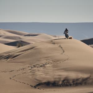 ALEXIS BLONDEL_DSF0787.jpg