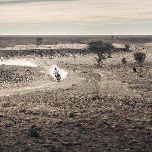 Alessio Corradini - _ALX8078.jpg