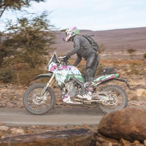 Massimo Di Trapani__507 Constance Lanher__MG_9066.jpg