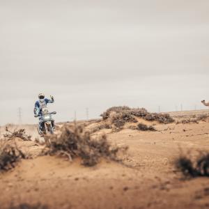 Matteo Longobardi-14.jpg