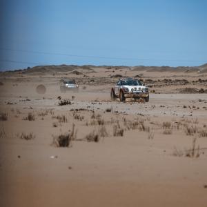 Massimo Di Trapani__300 Erik Dr. Brandenburg-Marnie Brandenburg__MG_1736.jpg