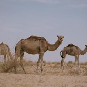 DELESTRE Maxime__MDE_6281.jpg