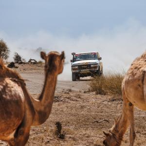 Massimo Di Trapani__355 Pierre Bourdeau-Bruno Domy__MG_5750.jpg