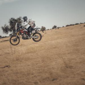 Alessio - _ALX4234.jpg