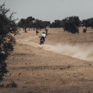 Alessio - _ALX4390.jpg